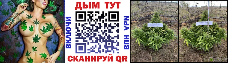 Канабис семена  Тейково 